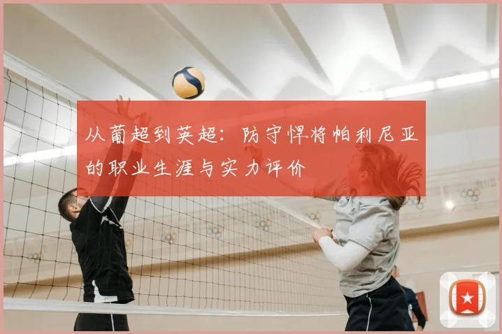 从葡超到英超:防守悍将帕利尼亚的职业生涯与实力评价