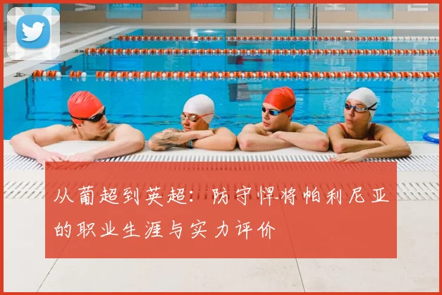 从葡超到英超：防守悍将帕利尼亚的职业生涯与实力评价